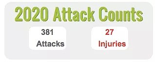 全澳636人被攻击，56人受伤！澳媒：今年情况特殊，喜鹊伤人几率大大提升，出门务必注意安全（组图） - 17