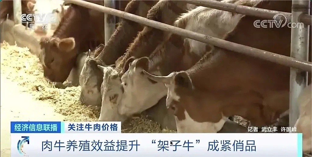 史上最贵“牛肉”！这家公司只有596头牛，股价7天涨了170%，市值飙涨31亿元（视频/组图） - 3