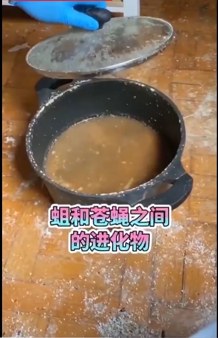 惨不忍睹！留学生出租屋：排泄物、虫子、腐烂食物、垃圾堆成山（组图） - 6