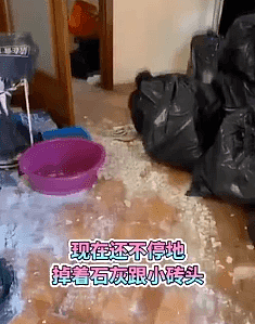 丢人！女留学生留下垃圾堆后回国了，房东气炸称再也不租给中国人（组图） - 3