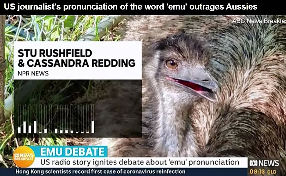 因为emu这个词的发音，美国人把澳洲人气炸了 - 6