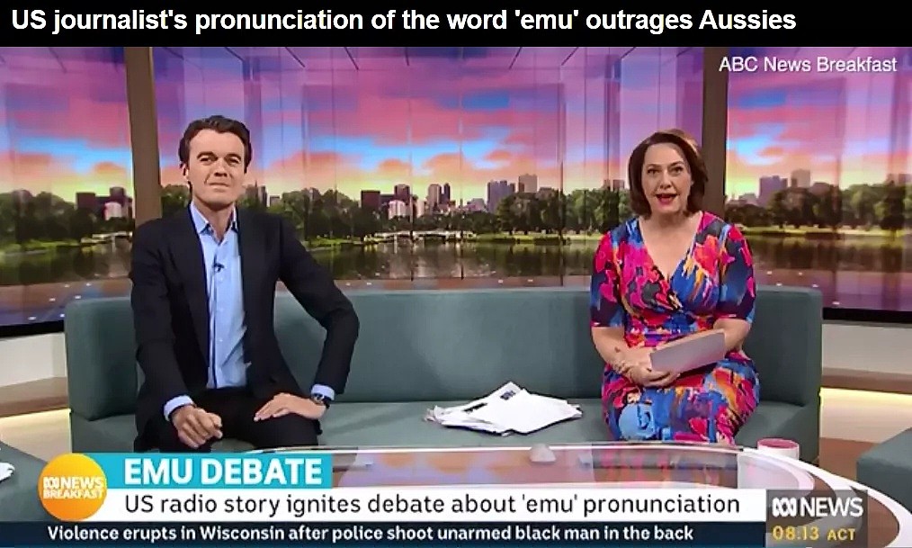 因为emu这个词的发音，美国人把澳洲人气炸了 - 12
