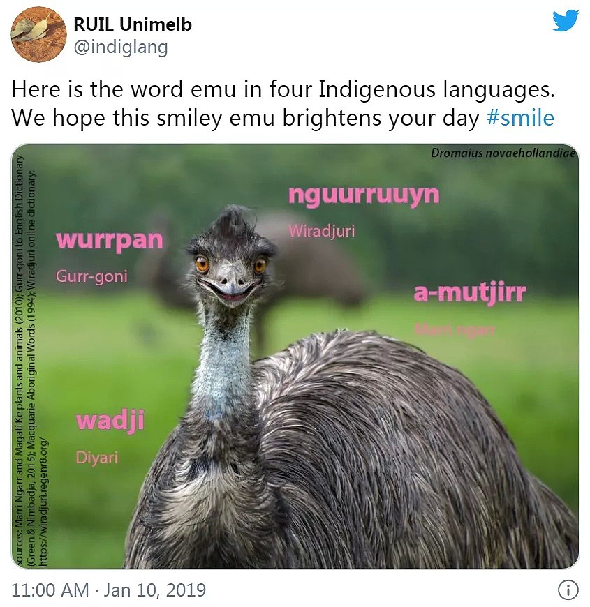 因为emu这个词的发音，美国人把澳洲人气炸了 - 16