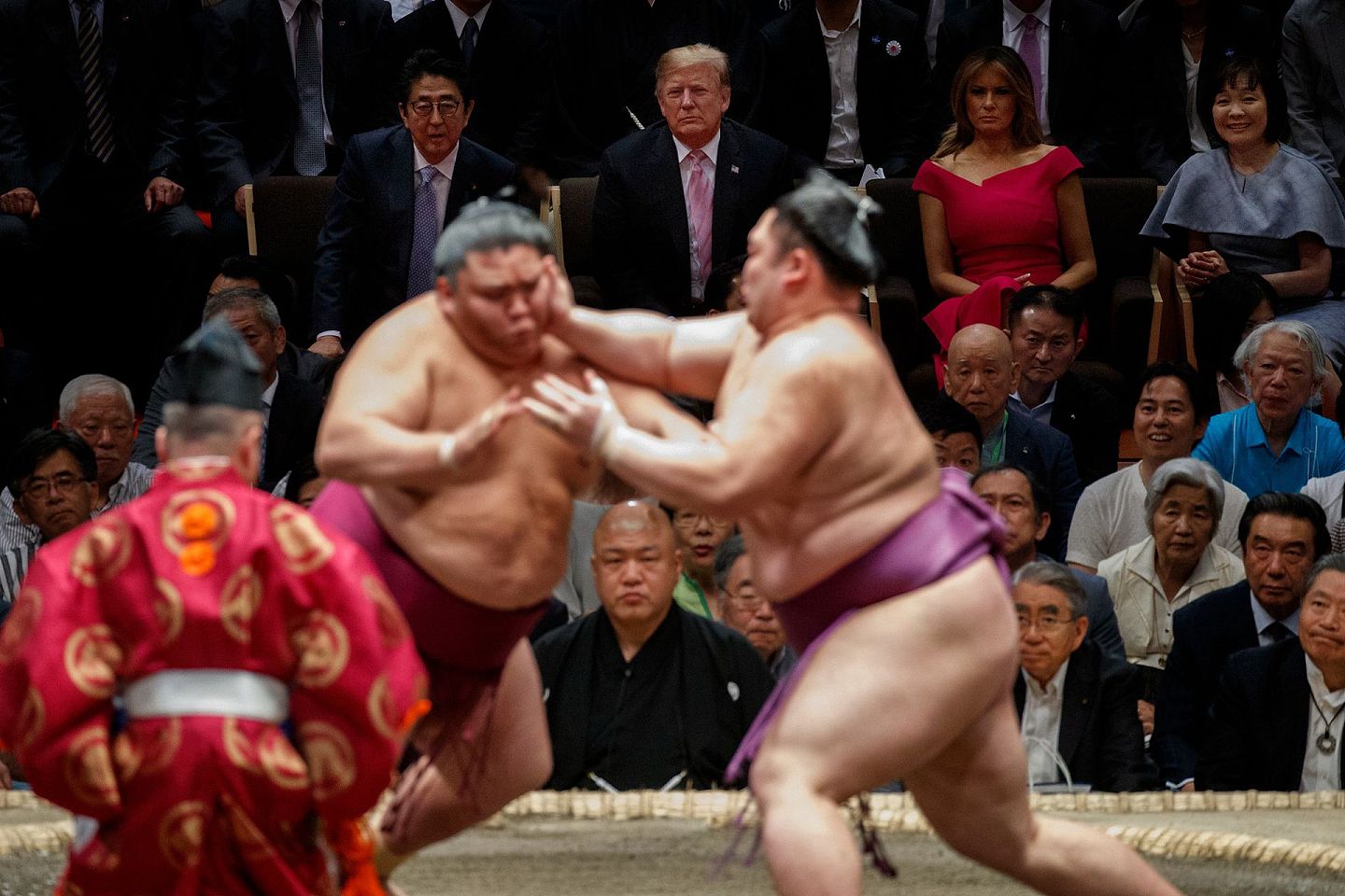2019年5月26日，特朗普和安倍晋三在东京国技馆参加东京相扑大赛。特朗普认真观赛。（AP）
