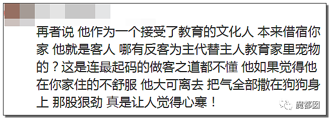 全网愤怒！美艳博士后激情点评虐狗案：不该以区区狗命毁掉那位研究生前途（视频/组图） - 13