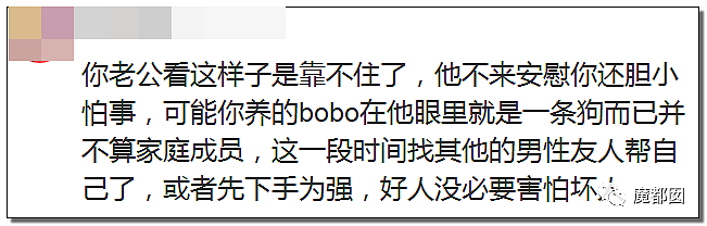 全网愤怒！美艳博士后激情点评虐狗案：不该以区区狗命毁掉那位研究生前途（视频/组图） - 16