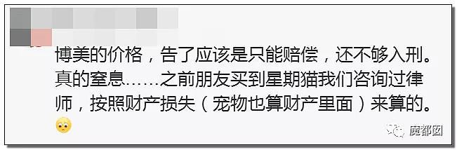 全网愤怒！美艳博士后激情点评虐狗案：不该以区区狗命毁掉那位研究生前途（视频/组图） - 19