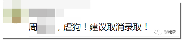 全网愤怒！美艳博士后激情点评虐狗案：不该以区区狗命毁掉那位研究生前途（视频/组图） - 25