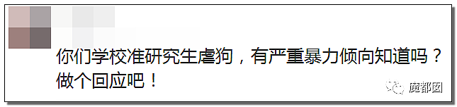 全网愤怒！美艳博士后激情点评虐狗案：不该以区区狗命毁掉那位研究生前途（视频/组图） - 30