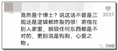 全网愤怒！美艳博士后激情点评虐狗案：不该以区区狗命毁掉那位研究生前途（视频/组图） - 51