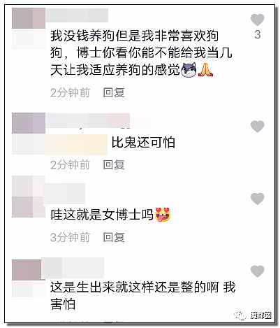 全网愤怒！美艳博士后激情点评虐狗案：不该以区区狗命毁掉那位研究生前途（视频/组图） - 81