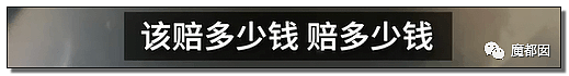 全网愤怒！美艳博士后激情点评虐狗案：不该以区区狗命毁掉那位研究生前途（视频/组图） - 101