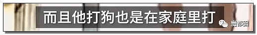 全网愤怒！美艳博士后激情点评虐狗案：不该以区区狗命毁掉那位研究生前途（视频/组图） - 102