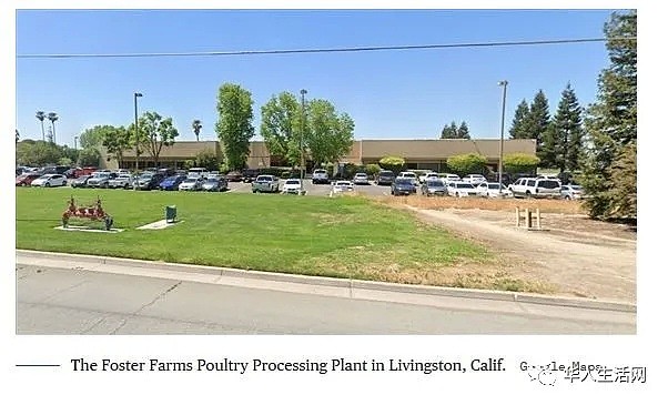 美国疫情605万！加州鸡厂8死350人感染，全美现首例二度感染，专家称这个地区或已达群体免疫（组图） - 6