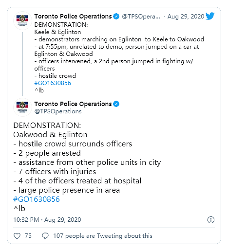 失控！加拿大游行发生暴乱，2名黑人把4名警察打进医院（组图） - 1