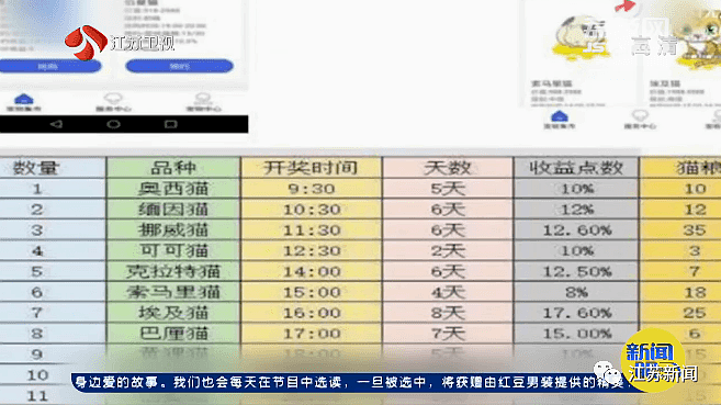 6000多人网上“养猫”被骗几亿！本金都被卷走了（视频/组图） - 3