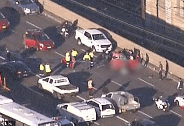 悉尼海港大桥车祸死亡女司机身份曝光，亲友称其为“天使”！曾抢夺LV包，协助劫车（视频/组图） - 7
