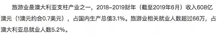 澳洲PR公民出入境审批加速，门槛放低，最快当天获批！华人网友：终于可以回国了？（组图） - 31