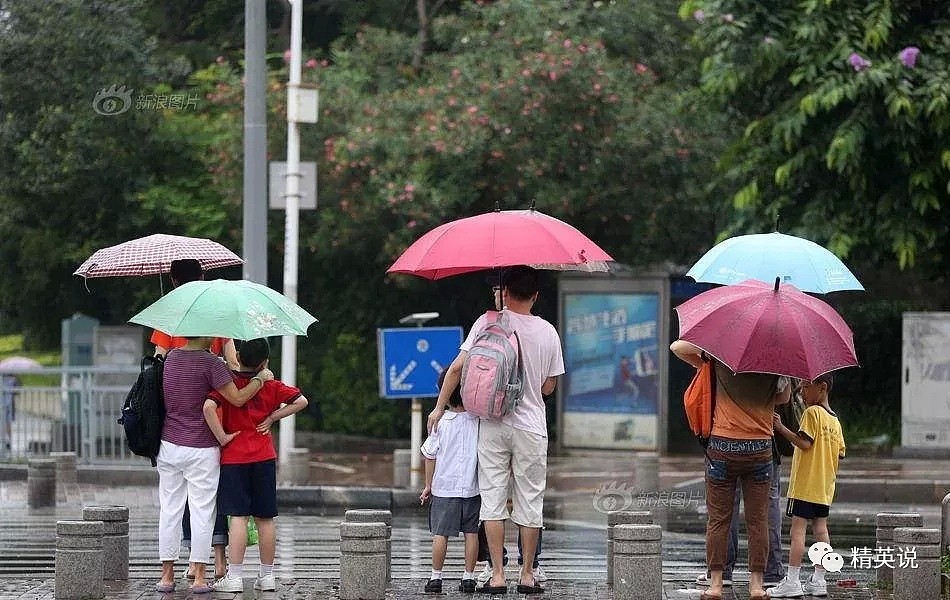 深圳，20万孩子凌晨5点跋涉在去香港的路上…（组图） - 8