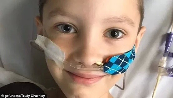 悉尼6岁小男孩身患绝症，临终愿望只有一个！得知真相后，澳洲警察助他圆梦 - 12