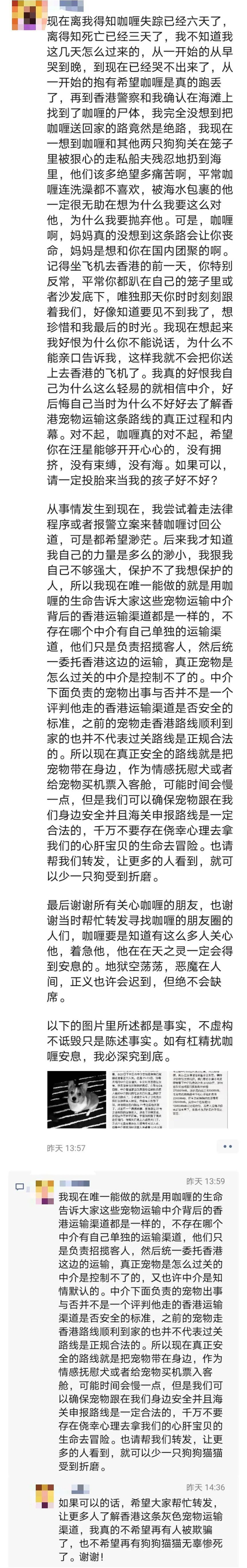 香港「灰色运输」曝光，数十只宠物被“海葬”！留学生带猫狗回国，谨慎无良中介 - 14