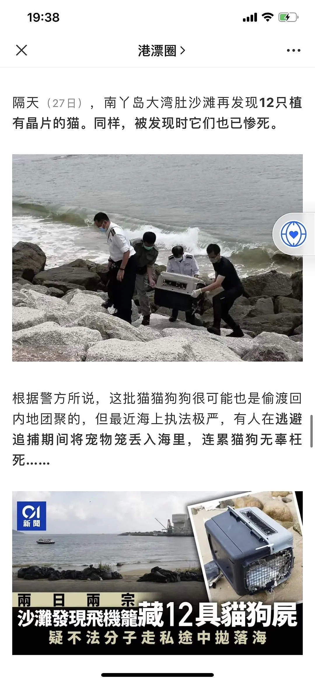 香港「灰色运输」曝光，数十只宠物被“海葬”！留学生带猫狗回国，谨慎无良中介 - 29