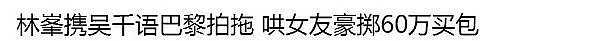 太爽了！顶级捞女吴千语终于敢反击富豪前任了，但这心机咋比得过他们背后的组织哦...（组图） - 5