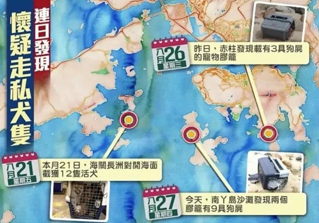 澳华人托运爱宠回国，竟“连人带猫”离奇失联！数十猫狗横尸香港海滩，曝走私犯海上“弃货”（组图） - 20