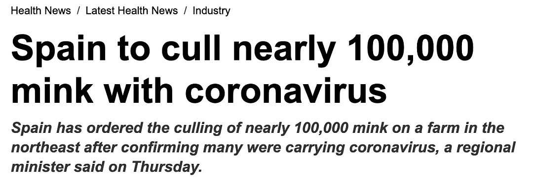 超100万只水貂遭三国扑杀，恐与人双向传播新冠病毒！实验显示病毒1分钟扩散超市走道，蔓延迅猛（组图） - 10