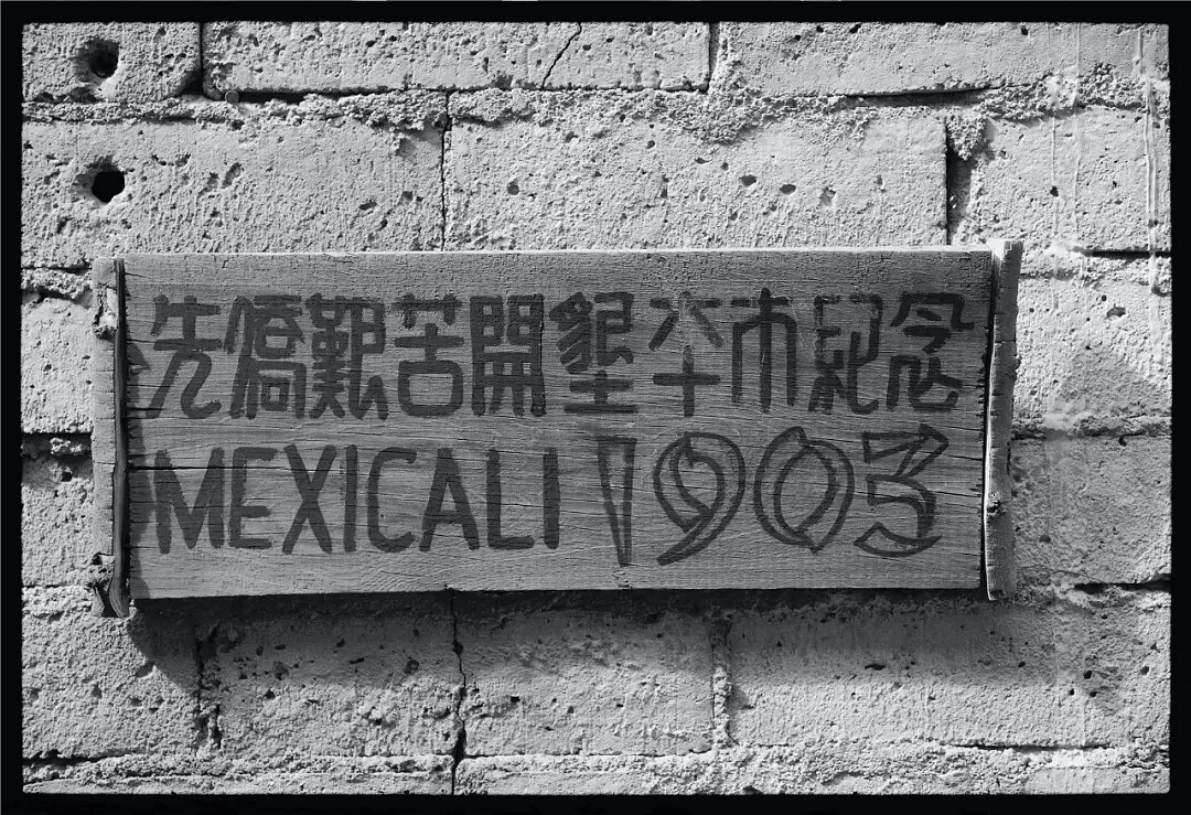 他用53年揭秘底层华人移民现状：多数单身，有人一辈子没有性生活（组图） - 25