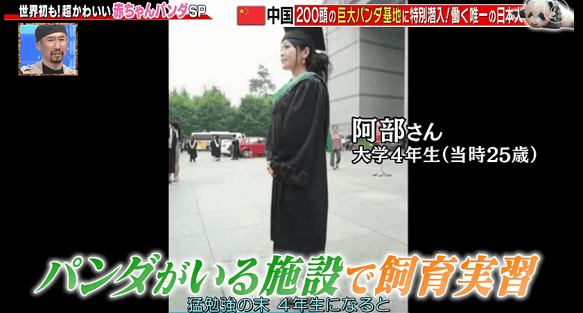 这个日本妹子为了中国“国宝”奉献了30年青春！还成为熊猫基地唯一的外国人…（组图） - 19