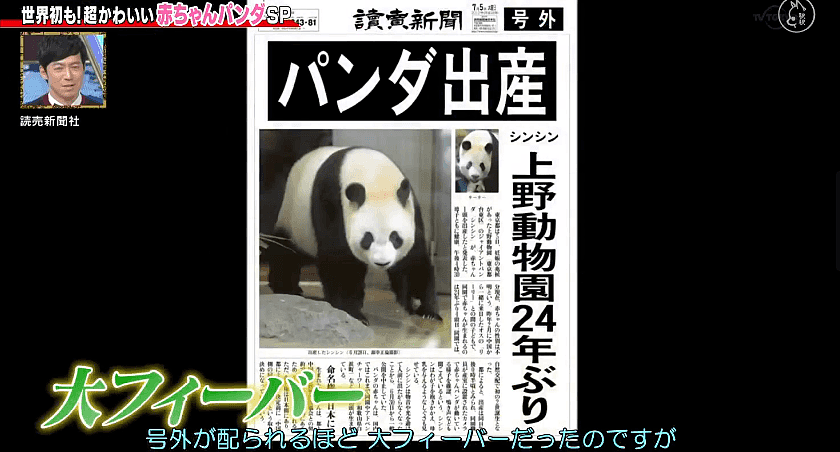 这个日本妹子为了中国“国宝”奉献了30年青春！还成为熊猫基地唯一的外国人…（组图） - 20