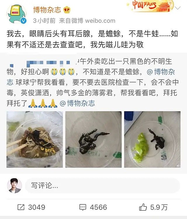 中国姑娘点了份外卖，看吐上万网友：天呐，癞蛤蟆！商家回应让人窒息…（组图） - 6