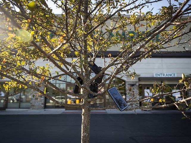外卖骑手“困”在系统里，亚马逊快递员的手机“捆”在树上（组图） - 3