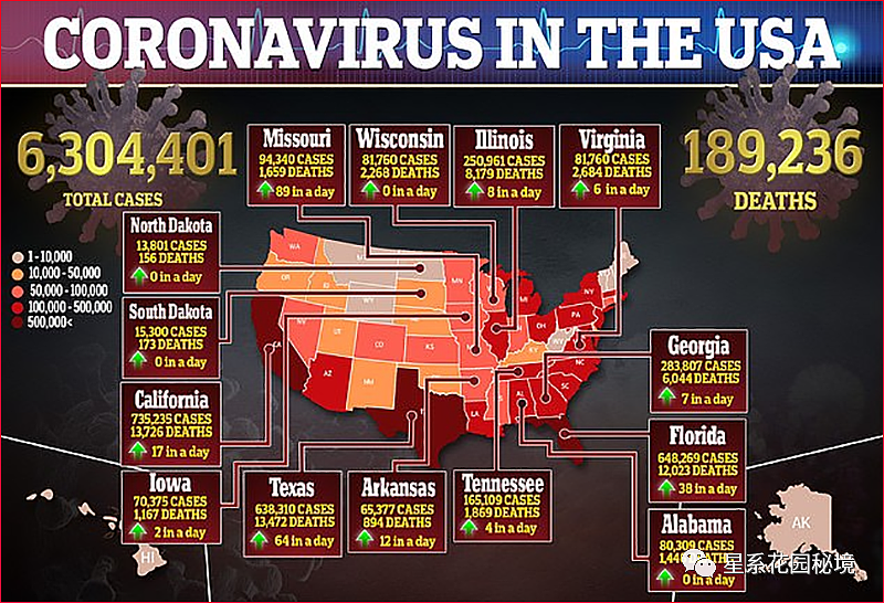 令人吃惊！美国新增的新冠病毒感染患者中，至少260000人是一场摩托赛导致的？（组图） - 18