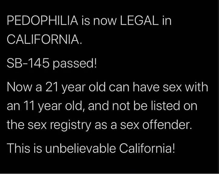 恋童癖竟然在加州合法了？恶魔性侵小自己10岁的孩子就会判无罪（组图） - 14