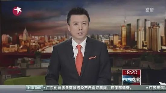 《新闻联播》主播上新了！49岁潘涛首次亮相即上热搜，然而欧阳夏丹却消失了129天（组图） - 8