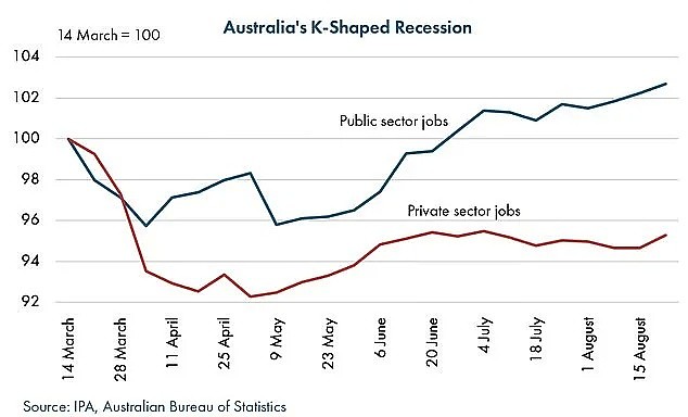 澳公共服务部门5个月内增2.21万人就业，而私营企业倍受打击，52.27万岗位被裁（组图） - 7