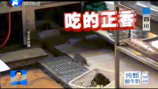 “浙江女孩点快餐，吃出一只癞蛤蟆”：你永远不知道，中国的外卖到底有多脏！（组图） - 14