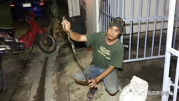 泰国少年边刷手机边蹲马桶，没想到被一条蛇咬住了生殖器......（组图） - 19
