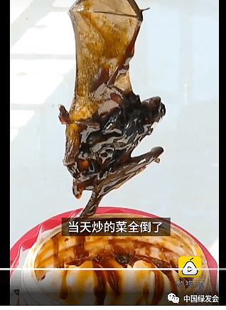 恶心！网曝中国老字号蚝油罐拉出“一整只蝙蝠尸体”（视频/组图） - 3