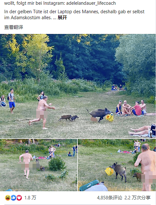 她在德国，拍下了一男子裸奔追猪全过程，意外火遍全网…（组图） - 2