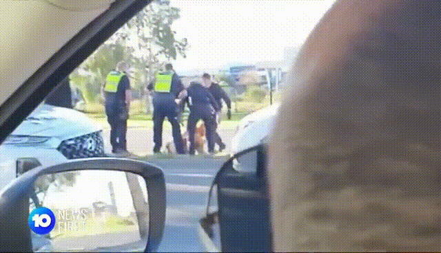澳警方涉暴力执法踩踏男子头部，涉案警官被停职，受害者仍在医院昏迷（组图） - 6