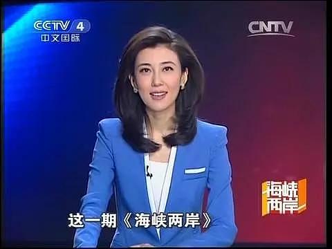 曾是央视第一美女！丈夫因性侵入狱，公公诈骗110亿？（组图） - 17