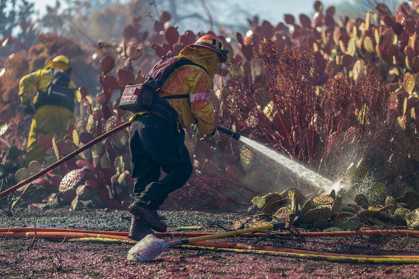 近年来，美国加州山火肆虐。 曾一度导致数十万人撤离家园。 （Getty）