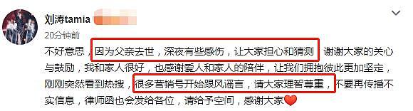 刘涛发文谈婚变，老公13字回应，我在评论区看见人性最恶的一面（组图） - 6