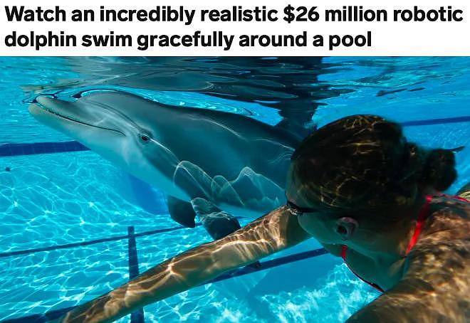 新西兰公司造了一条“假海豚”，1.8 亿卖给中国！（组图） - 10