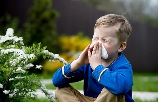 澳洲花粉季来袭！如何辨别应对花粉症、新冠、感冒、流感？看这篇就够了（组图） - 9