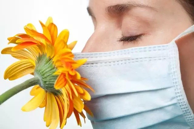 澳洲花粉季来袭！如何辨别应对花粉症、新冠、感冒、流感？看这篇就够了（组图） - 14