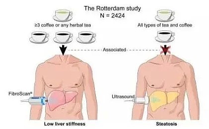 疫情下澳洲经济持续低迷， 咖啡竟成“大救星”！研究发现咖啡可防肝癌、肝硬化，还对糖尿病有奇效（组图） - 22